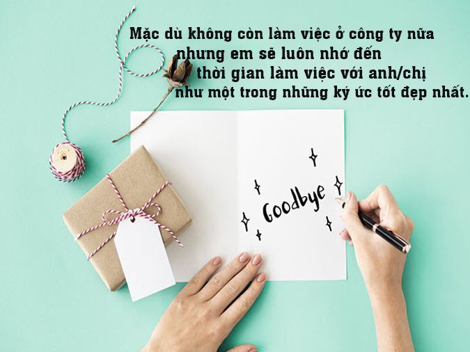 Cấu trúc của một bức thư tri ân gồm những phần nào?