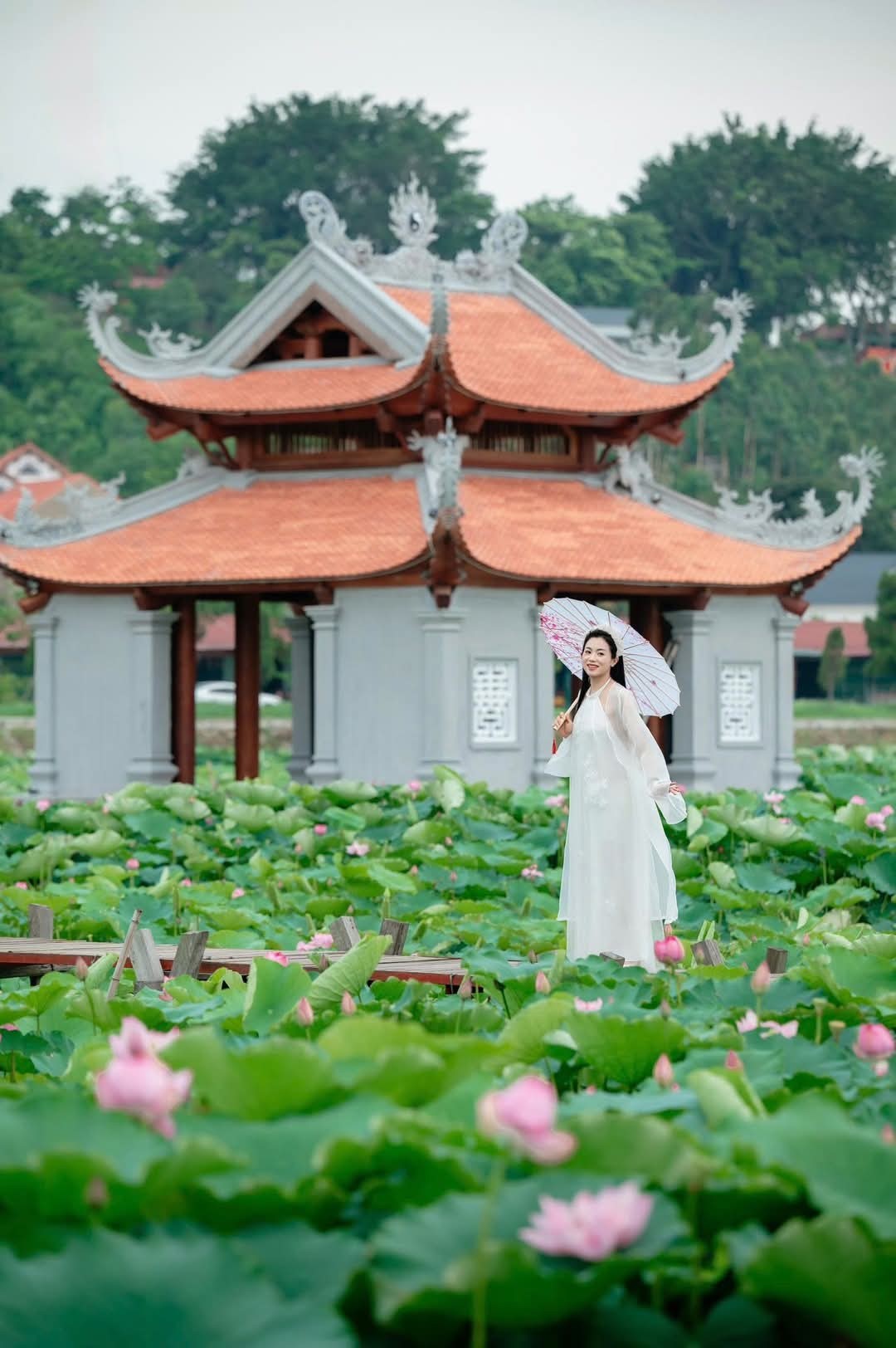 499277495 1083438647150592 4629109859729899778 N