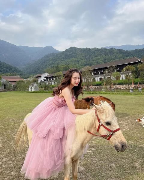 559183070 827756736409741 2322419289373243875 N