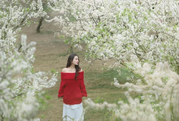 484507475 667760525629823 805297993422667998 N