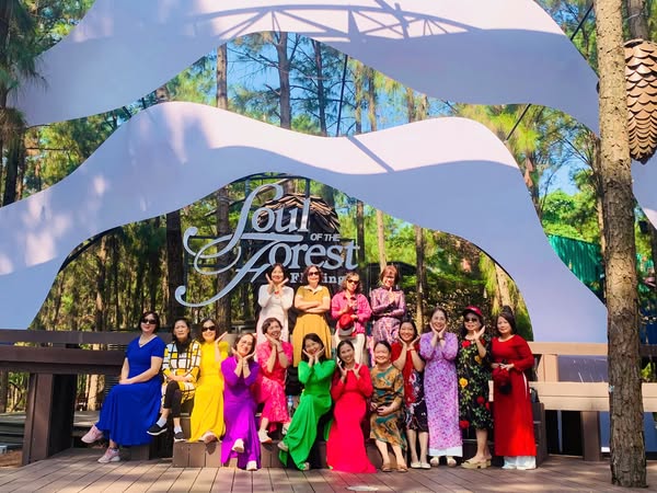 488537153 1118448243637108 599769598696160612 N