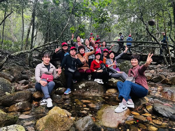 Cập Nhật Giá Vé Thắng Cảnh Và Tiện Ích Cáp Treo Yên Tử Năm 2026