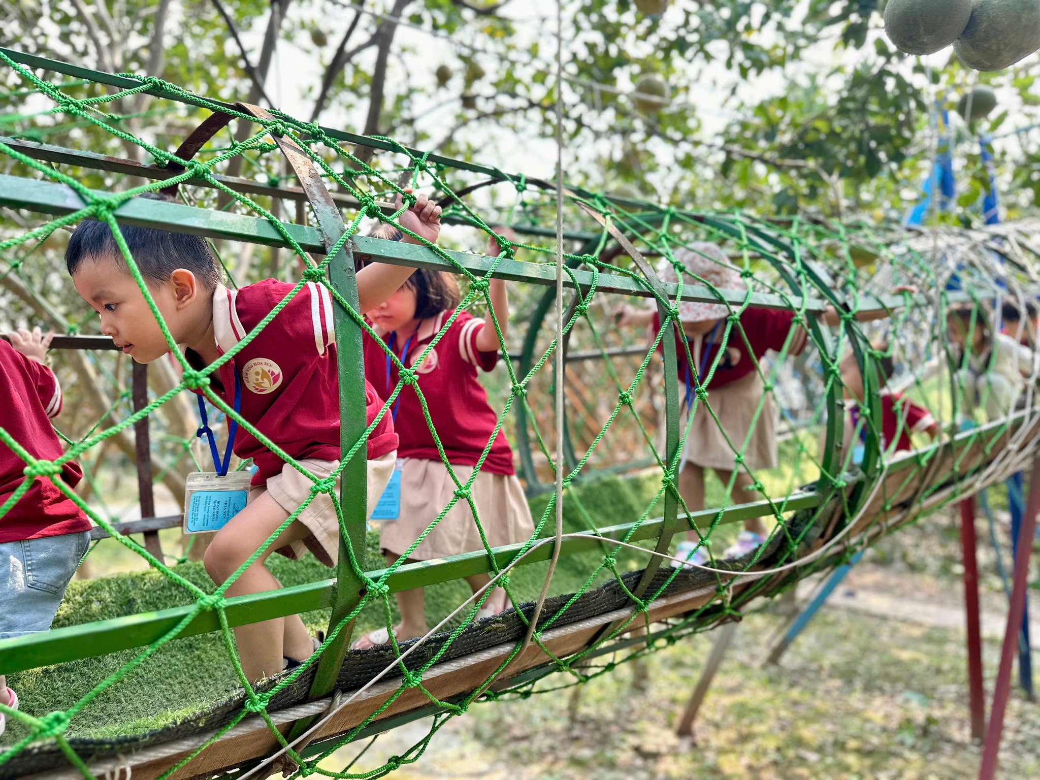 540771862 1558391342216695 6633275673404579684 N