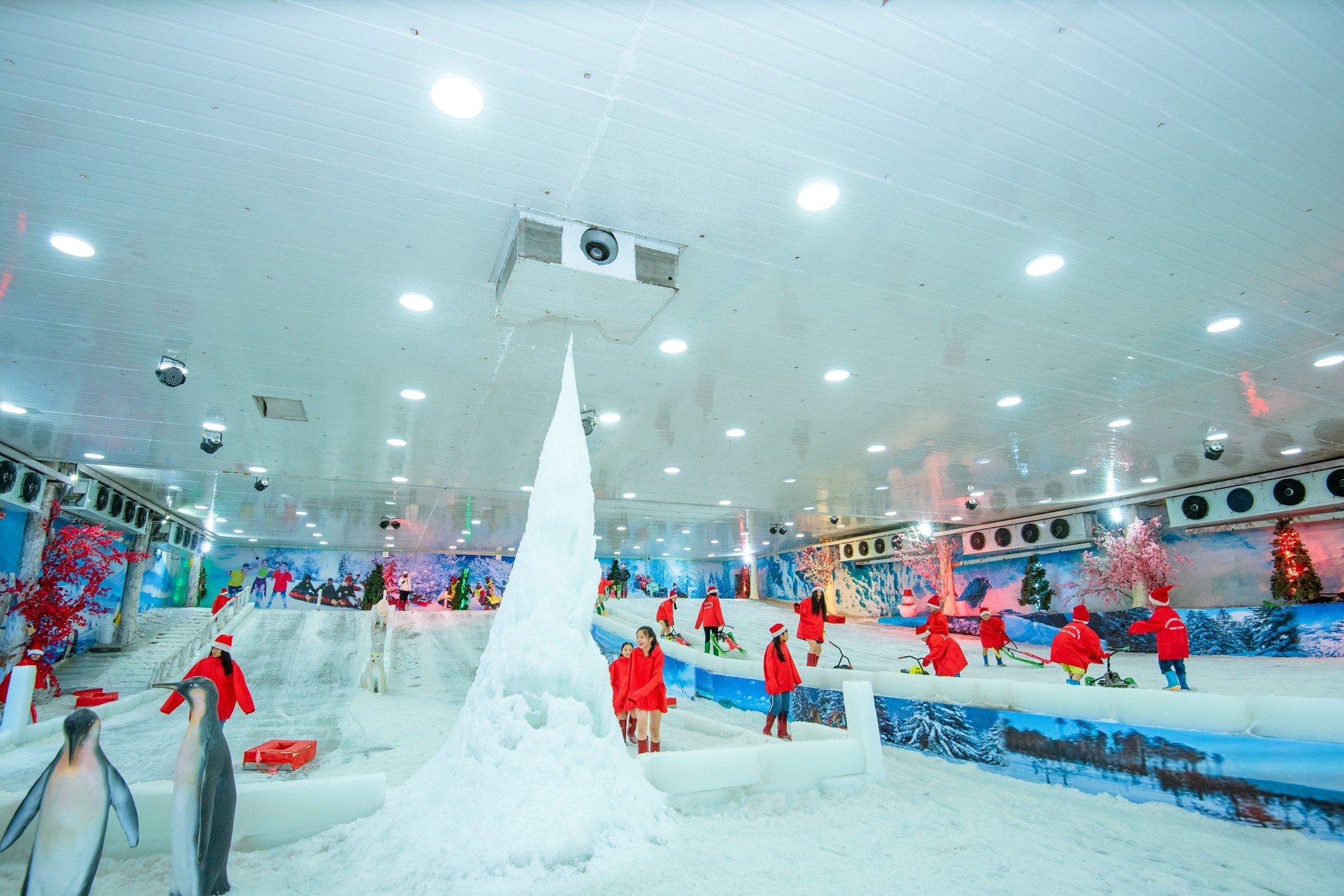 556385252 1240916714729770 2701270189436203576 N