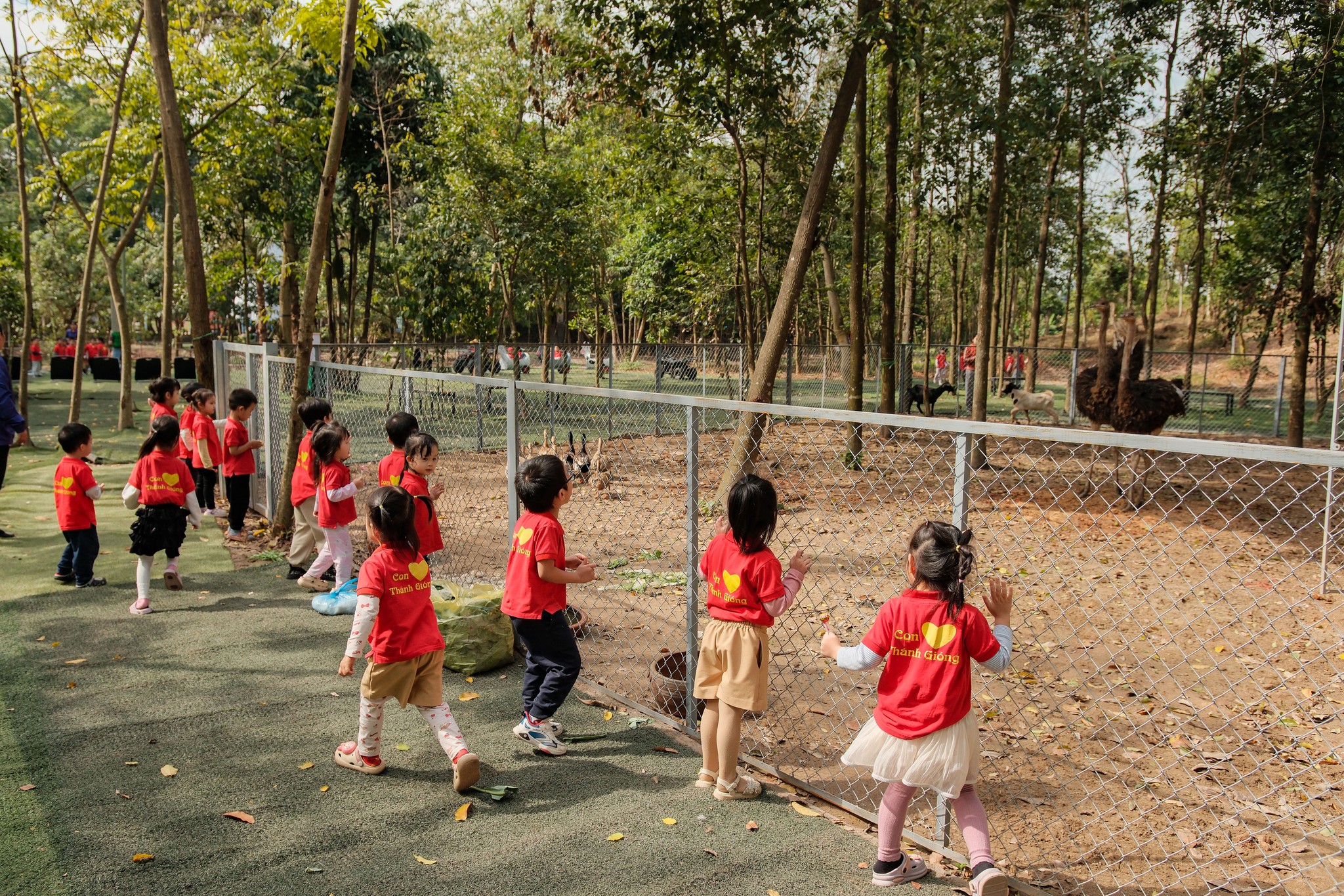 587684019 1633112778077884 7348729786665753366 N