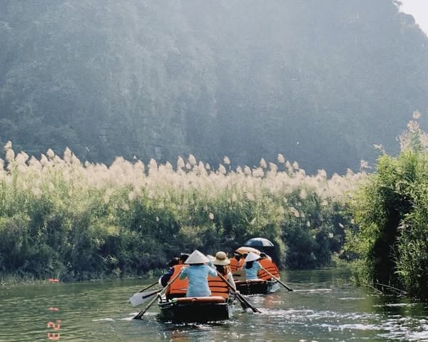 481462896 660019666403909 5416014466317185137 N